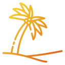 summertime,beach,summer,nature,tropical,botanical,coconut,palm tree,coconut tree